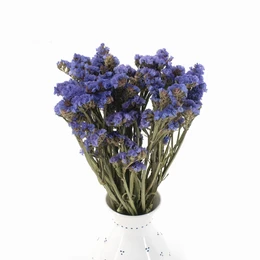 Tørret Statice Bouquet Blå