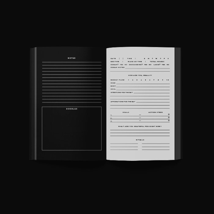 METANOIA Prawo przyciągania Journal
