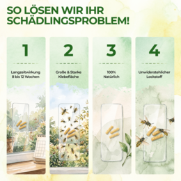 Wespen Fenster-Falle