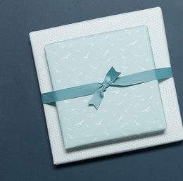 Vögel Emballage Paper Mint - Papier d'emballage maritime avec des mouettes, comme emballage cadeau pour le mariage, pour la naissance ou le baptême