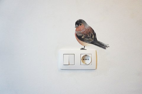 Wall sticker Vink
