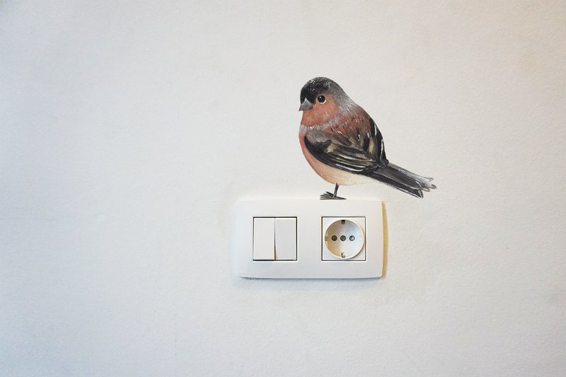 Wall sticker Vink
