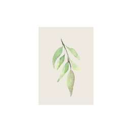 MINI BILLET | blad