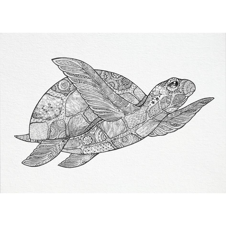 Postkarte – Schildkröte