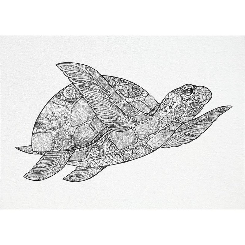 Postkarte – Schildkröte