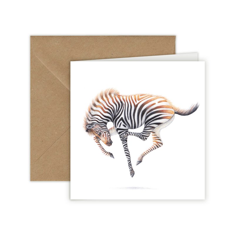 Puledro zebra - Biglietto d'auguri, 13 x 13 cm, fauna selvatica, cartoline