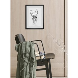 Frame picture - Deer