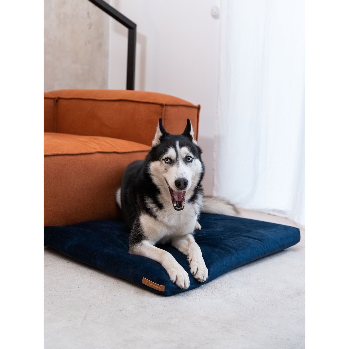 Madras "Soft" til en hund og en kat - genbrugt