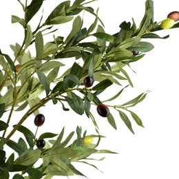 Künstlicher Olivenbaum OLIVEN Grün H180cm