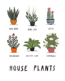 House plants print