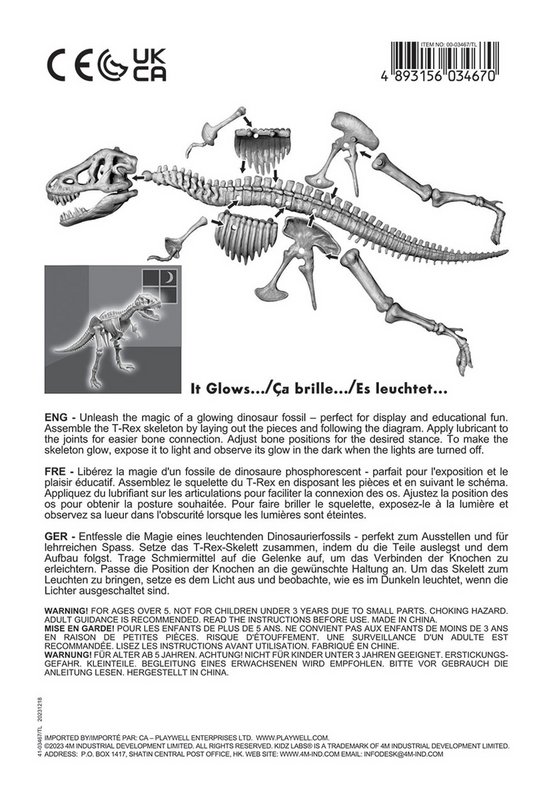 Lo scheletro di T-Rex si illumina al buio