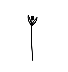 Blume 2