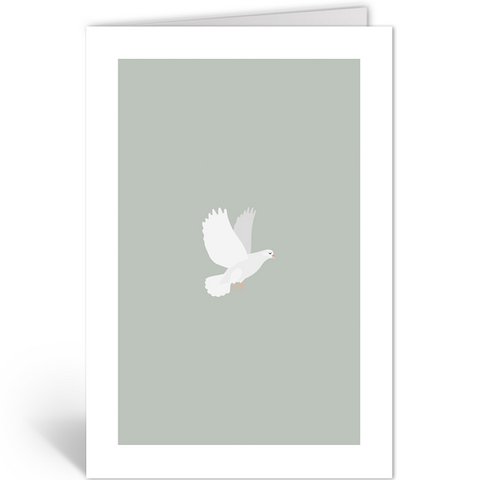 DLN303 - Witte Duif