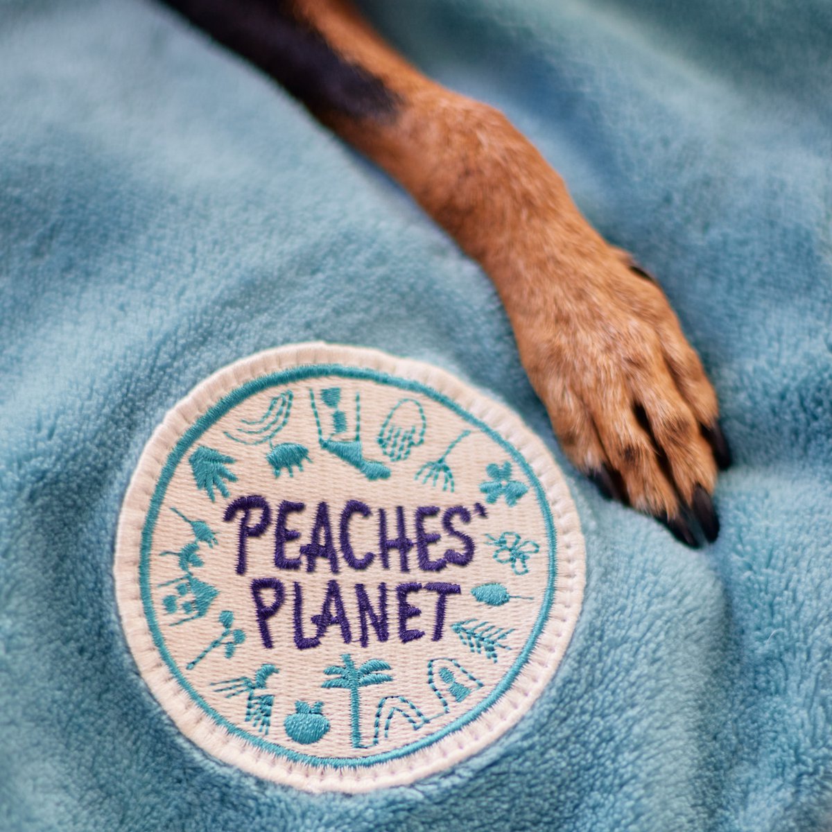 Peaches 'planeet gezellige momenten knuffelende dekenblauwe oceaan voor honden