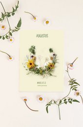 Mapa de flores mensuales agosto