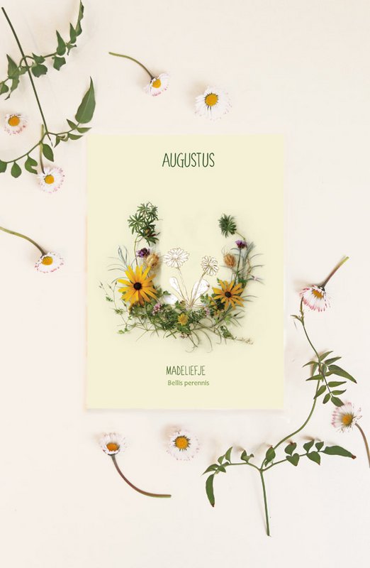 Map monthly flower August