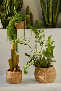 Phan Seagrass Planter Basket