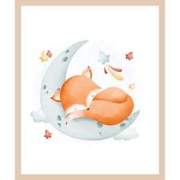 Framework picture - sleeping fox