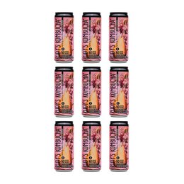Rudys Alive Pear Kombucha (24x330ml)