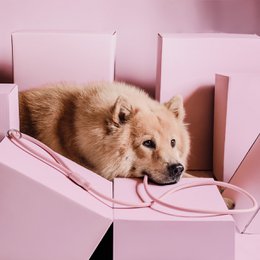 NE & No® Dog Lease "Loft Style" - Weerbestendig