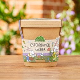 Colorful wildflower seeds in a terracotta pot-shaped container. The container features a floral design and the text "Blümchen aus dem Becher" which translates to "Flowers from the cup".