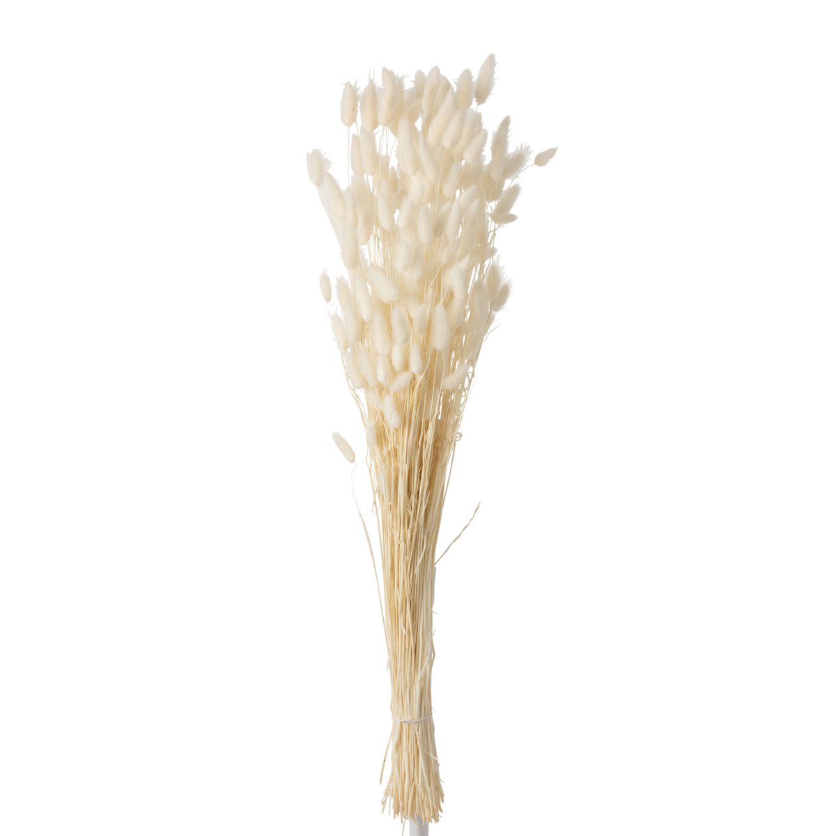 Dryflows J-Line - Bundle Plume Hazentail - paseo - crudo - grande
