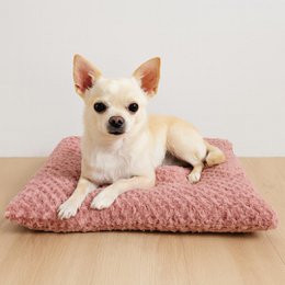 Yommy Katzen- und Hundemattenbett | Weiches, warmes und waschbares Winter-Haustierbett | Bissfeste Matratze, rutschfest, bequem und atmungsaktiv | Erhältlich in verschiedenen Größen und Farben, ideal für kleine Haustiere