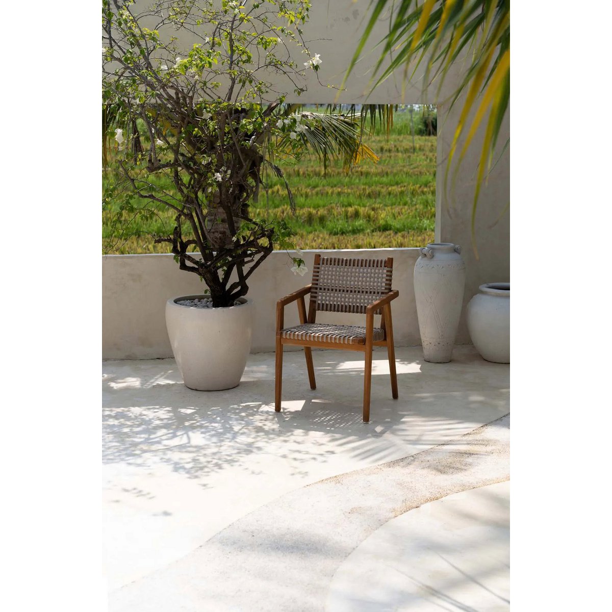 The Trikeri Dining Chair