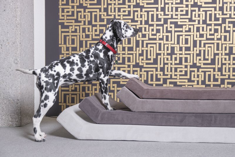 Arcturus (Dog & Cat Bed) ORDER MATTRESS SEPARATE