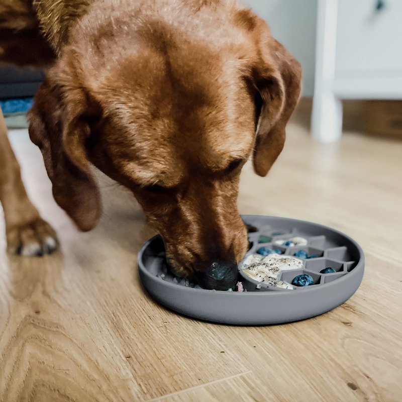 ne&no® anti-sling voerbak voor honden en katten