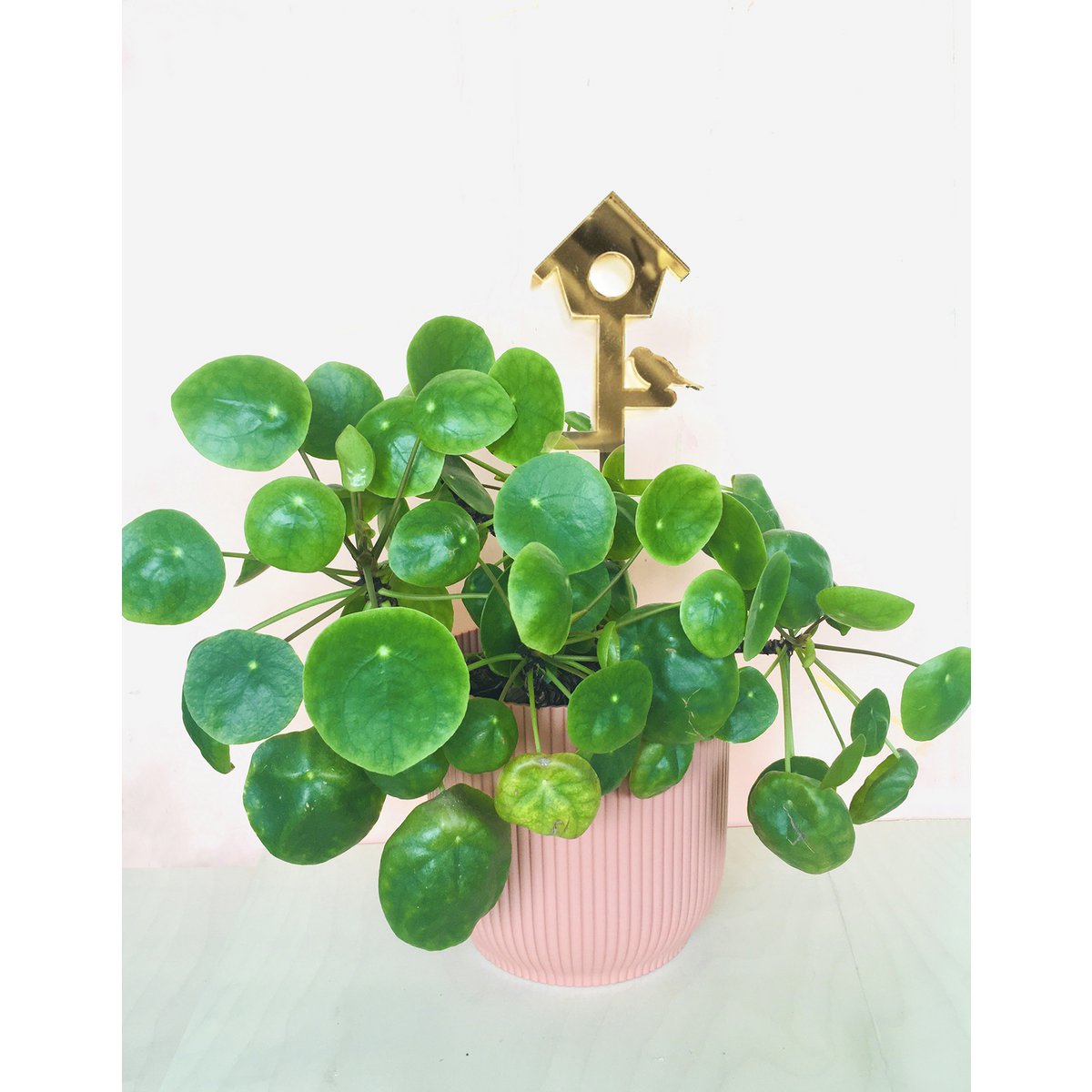 Plantstand L Birdhouse