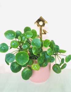 Plantstand L Birdhouse
