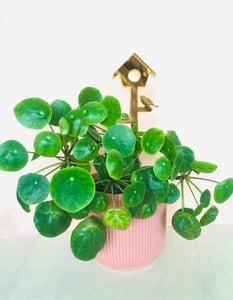 Plantstand L Birdhouse