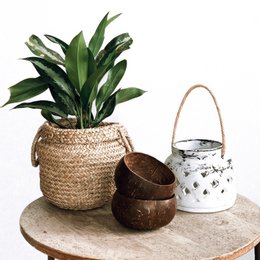 Cuenco de coco