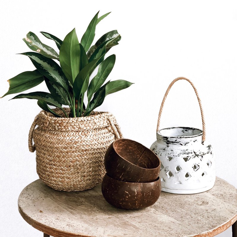 Cuenco de coco