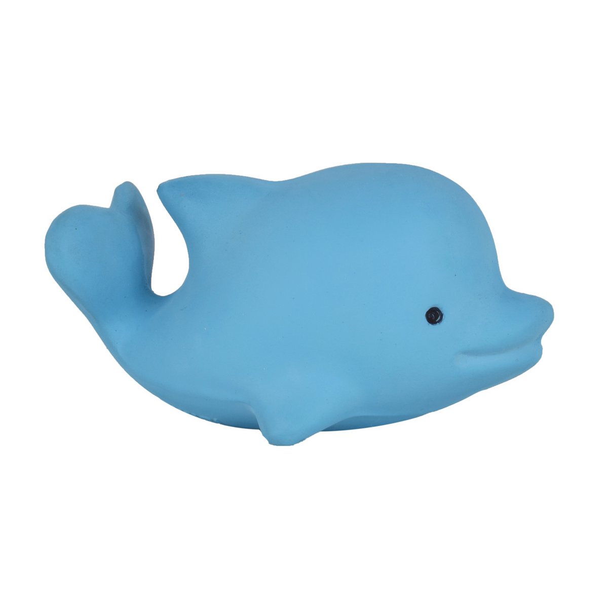 Mój pierwszy delfin oceaniczny
