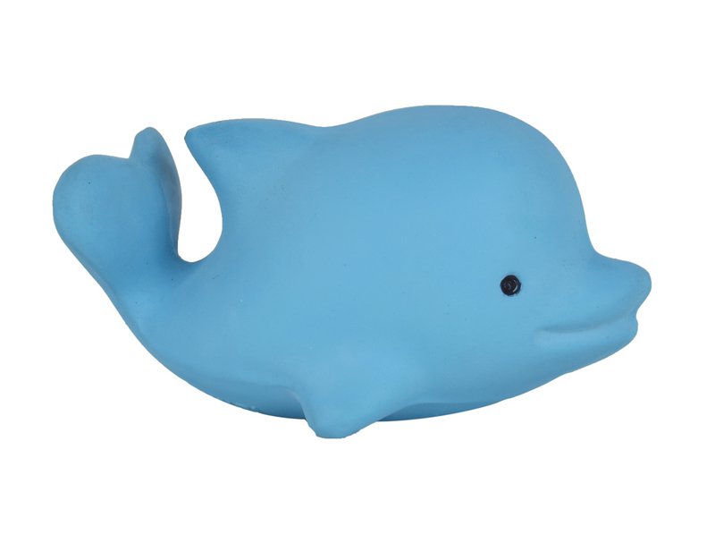 Mój pierwszy delfin oceaniczny