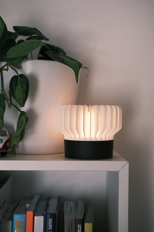 Luce portatile ricci