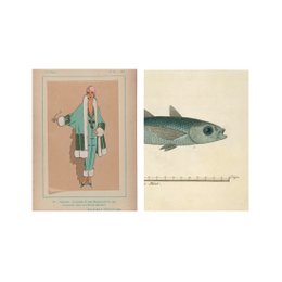 Postcard collage Museum collection - lady fish blue