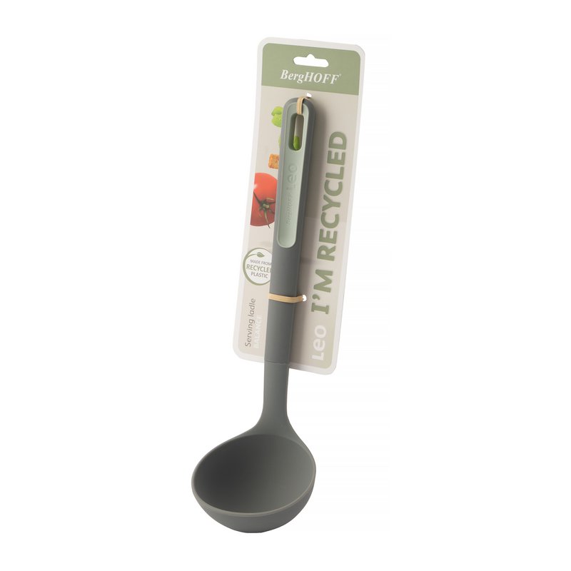 LEO Ladle Balance