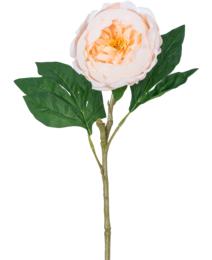 Pivoine Artificielle Real Touch Crème Blanc 58cm