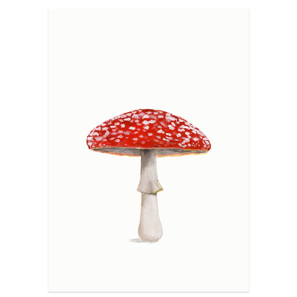 postcard | Fly agaric
