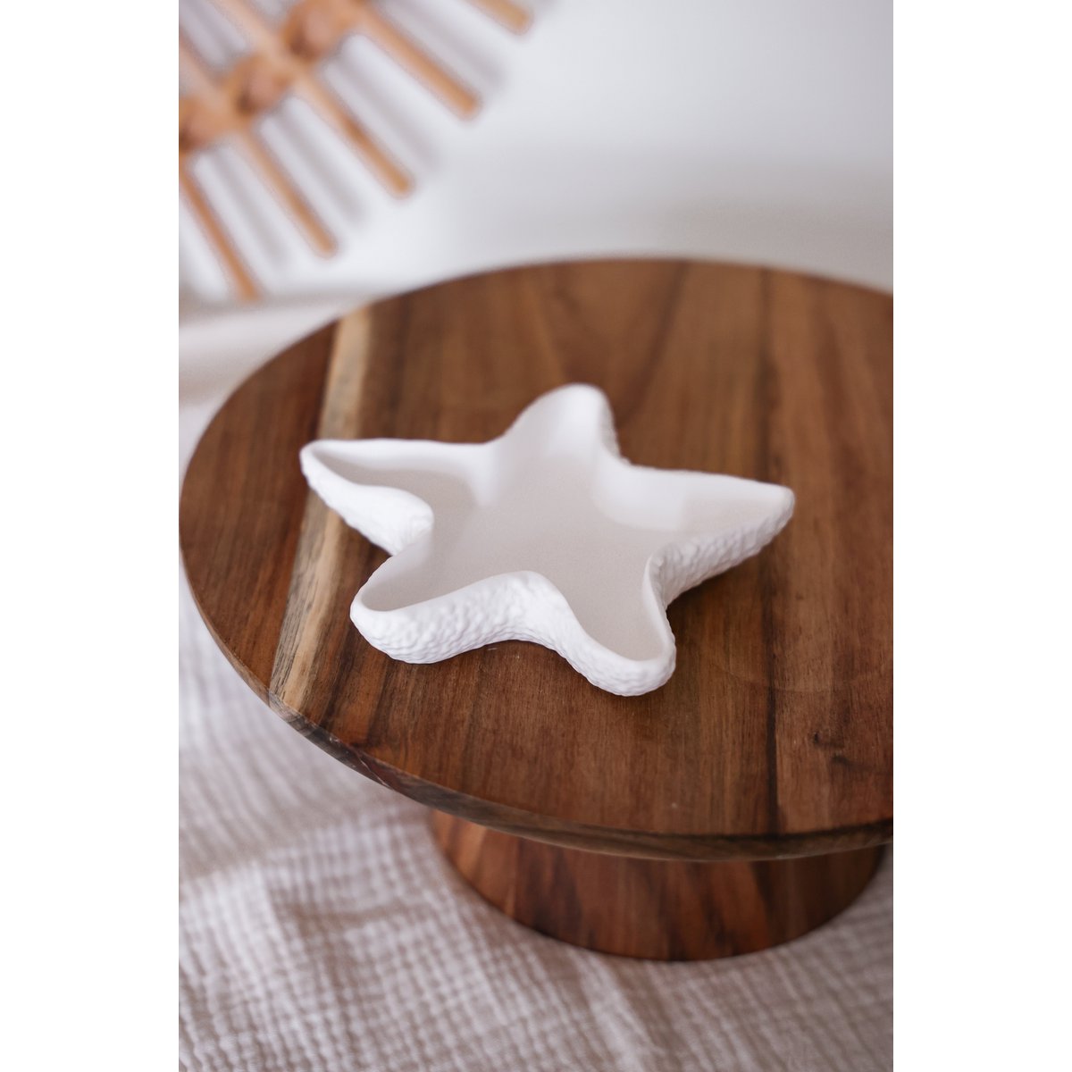 Seestern Muschelschale