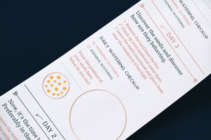 Kit in crescita con attività - SCHROLLO Mustard Sprouts
