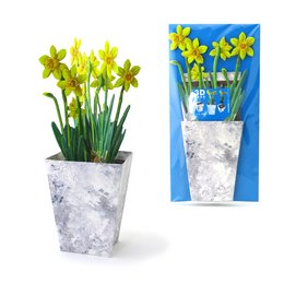 Jonquilles de carte de fleur 3D