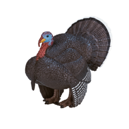 Mojo Woodland Toy Male Turkey - 387285