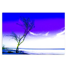 Árbol solitario de Torsten Reuter