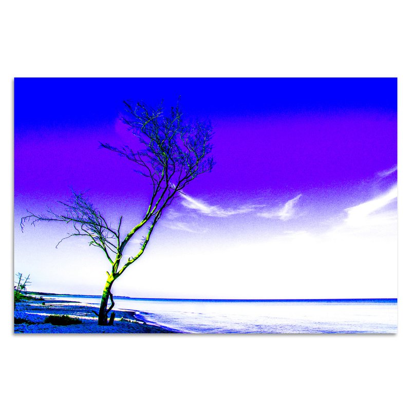 Árbol solitario de Torsten Reuter