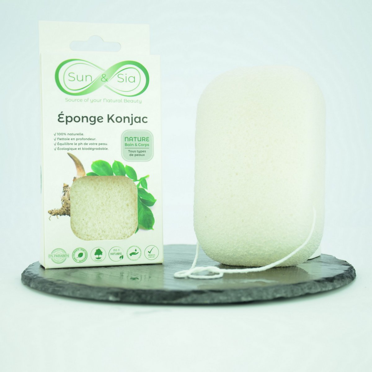 Spugna Konjac 100% naturale viso e corpo - In scatola | Diversi modelli tra cui scegliere