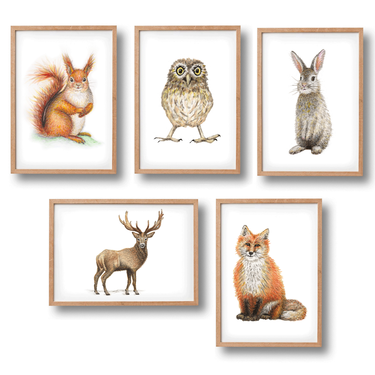 5 Dierenposters bosdieren - A4 - babykamer kinderkamer - kraamcadeau - wanddecoratie - handgeschilderd door Mies met aquarel